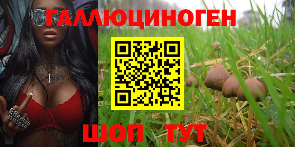 Звенигород  наркота  Вход с VPN  Псилоцибиновые грибы Magic Shrooms  Псилоцибиновые грибы мицелий 
